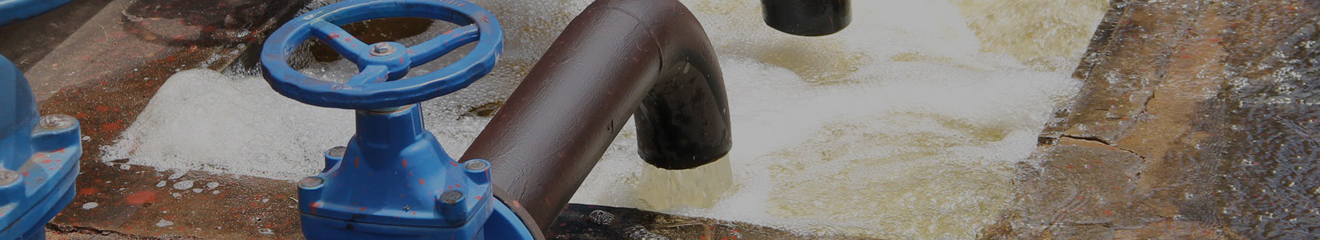 Changshui Technology Group Co., Ltd.